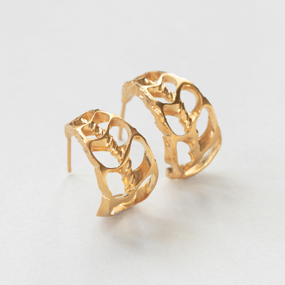 Coquilles slice κρίκοι χρυσό