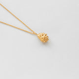 Coquilles ris κολιέ χρυσό