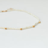 Terrestrial mother of pearl κολιέ χρυσό