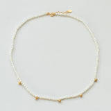 Terrestrial mother of pearl κολιέ χρυσό