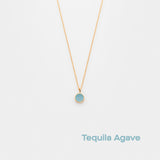 tequila agave