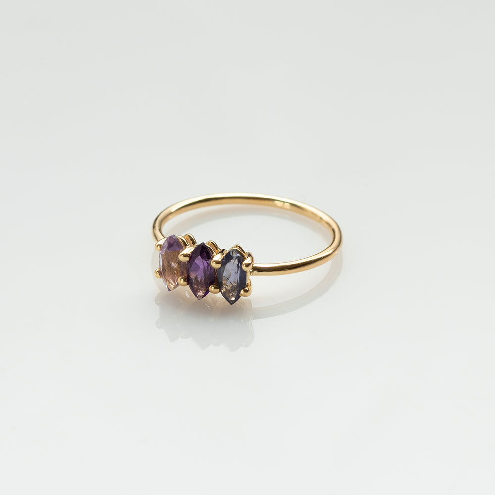 Fizzy amethyst & iolite δαχτυλίδι κίτρινο χρυσό 14Κ