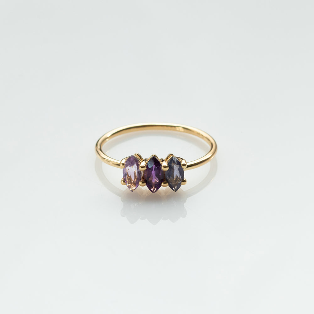 Fizzy amethyst & iolite δαχτυλίδι κίτρινο χρυσό 14Κ