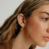 Coquilles slice κρίκοι χρυσό