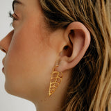 Coquilles slice σκουλαρίκια χρυσό