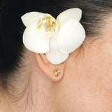 Fizzy peridot & white topaz σκουλαρίκια καρφωτά κίτρινο χρυσό 14Κ