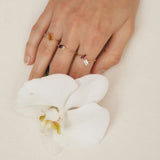 Fizzy amethyst & white topaz δαχτυλίδι κίτρινο χρυσό 14Κ