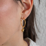 Tartaruga στοιχείο για κρίκο χρυσό