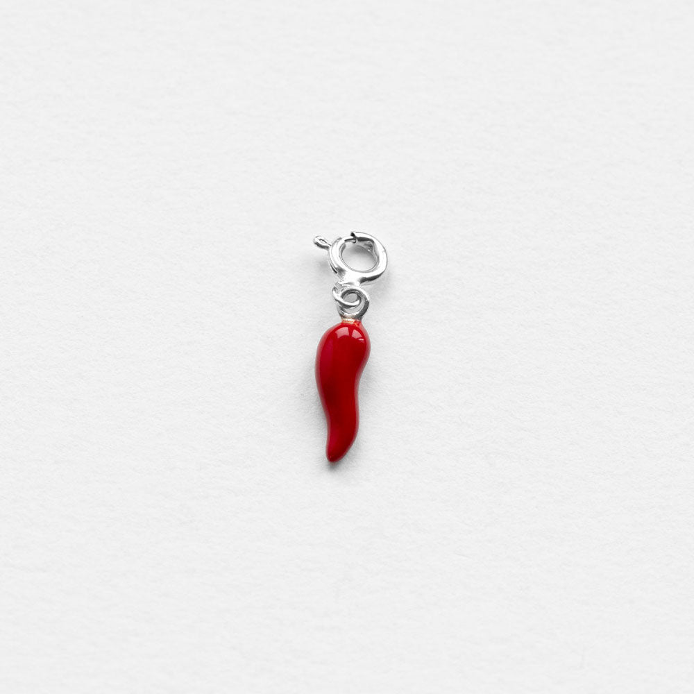 Cornicello all purpose στοιχείο ασημί