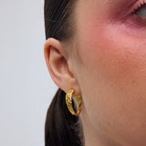 Sailing κρίκοι χρυσό