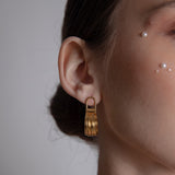 7ply σκουλαρίκια χρυσό